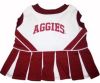 DoggieNation-College - Texas A&M Cheerleader Dog Dress - Small
