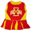 DoggieNation-College - Iowa State Cheerleader Dog Dress - Medium