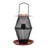 Sweet Corn Products - Sunflower Lantern Feeder With Tray - Red & Black - 1.7 Lb Capacity