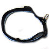 Iconic Pet - Rainbow Adjustable Collar - Blue - 0.78 x 15.7/21.6 Inch