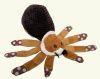 Petlou - Cute Animals Spider - 14 Inch