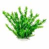 Aquatop Aquatic Supplies - Anacharis Like Aquarium Plant - Green - 20 Inch