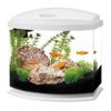 All Glass Aquarium - Aqueon Led Minibow Aquarium Kit - White - 5 Gallon