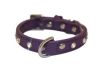 Angel Pet Supplies - Athens Leather Rhinestone Bling Dog Collar - Orchid Purple - 12" X 5/8" 