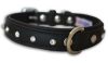Angel Pet Supplies - Athens Leather Rhinestone Bling Dog Collar - Midnight Black - 16" X 3/4" 