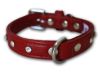 Angel Pet Supplies - Athens Leather Rhinestone Bling Dog Collar - Valentine Red - 16" X 3/4" 