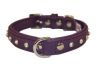 Angel Pet Supplies - Athens Leather Rhinestone Bling Dog Collar - Orchid Purple - 16" X 3/4" 