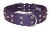 Angel Pet Supplies - Athens Leather Rhinestone Bling Dog Collar - Orchid Purple - 26" X 1.5"