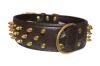 Angel Pet Supplies - Amsterdam Leather Spiked Multi-Line Dog Collar - Chocolate Brown - 22" X 1.5"