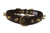 Angel Pet Supplies - Rotterdam Leather Spiked Single-Line Dog Collar - Chocolate Brown - 16" X 3/4" 