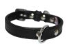 Angel Pet Supplies - Alpine Leather Padded Dog Collar - Midnight Black - 12" X 5/8"