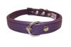 Angel Pet Supplies - Alpine Leather Padded Dog Collar - Orchid Purple - 18" X 3/4"