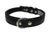 Angel Pet Supplies - Alpine Leather Padded Dog Collar - Midnight Black - 22" X 1"