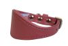 Angel Pet Supplies - Leather Padded Hound Dog Collar - Bubblegum Pink - 12" X 1.75"