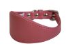 Angel Pet Supplies - Leather Padded Hound Dog Collar - Bubblegum Pink - 16" X 2.25"