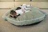 Iconic Pet - Luxury Bolster Pet Bed - Moss - Xsmall