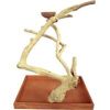 A&E Cage Company - Java Wood Table Top Bird Play Stand - Natural - Medium- 22 Inch