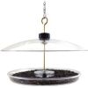 Droll Yankees - Covered Platform Feeder - Clear - 14.75 Inch