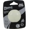 Chuckit - Max Glow Ball Dog Toy - White - Small