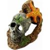 Blue Ribbon Pet Products - Exotic Environments Skull With Starfish