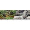 Blue Ribbon Pet Products - Double-Sided Rainforest/Boulder Background - 19 Inch