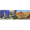 Blue Ribbon Pet Products - Double-Sided Underwater Atlantis/Desert Background - 19 Inch