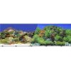 Blue Ribbon Pet Products - Double-Sided Garden/Carribbean Coral Background - 19 Inch