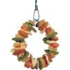 A&E Cage Company - Happy Beaks Deluxe Fruit Ring Toy - Multicolored