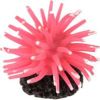 Poppy Pet - Sea Anenome - Pink - Small