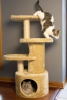 Iconic Pet - Dual Post Cat Tree Condo Tower - Beige