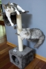  Iconic Pet - Three Level Cat Tree Condo with Hammock - Grey