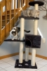 Iconic Pet - High quality Mid Condo Cat Tree/Furniture - Dark Grey