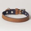 Hound?s Best - X-Small Canvas Leather Dog Collar "Indigo"