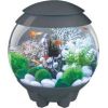 Oase Living Water - Biorb Halo 15 Mcr Aquarium - Gray- 4 Gallon/15 Liter