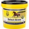 Richdel Inc - Select Grass 6 LB