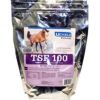 Uckele Health & Nutrition - Tsf 100 Metabolic Support - 5 Lb