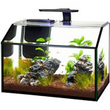 Aqueon Products - Glass - Shrimp Aquarium Kit Led - 7.5 Gallon
