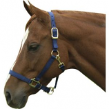 Horse And Livestock Prime - Premium Halter Chin With Snap - Navy - Average