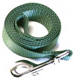 Leather Brothers - 1" x 4' One-Ply Nylon Lead - Nickle Bolt - Sage