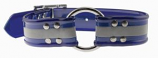 Leather Brothers - 1.5" Reflective SunGlo Wide Collars - Blue - 25" Length