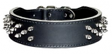 Leather Brothers - 2" Dee-In-Front Tapered Leather Protector Collar - Black - 21" Length