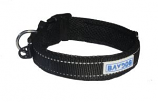 BayDog - Tampa Collar- Black - Large