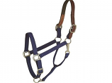 Horse And Livestock Prime - Halter Leather Crown Econ - Blue - Large