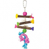 Prevue Pet Products - Tropical Teasers Shells And Sticks Bird Toy - Multi - 5.5X9 Inch