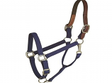 Horse And Livestock Prime - Halter Leather Crown Econ - Blue - Cob
