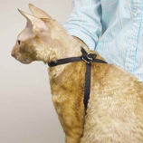 Top Performance - Adjustable Nylon Cat Harness