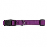 Guardian Gear - Adj Collar Brites - 10-16x5/8Inch - Purple