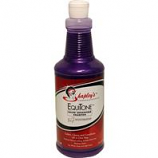 Shapley'S - Equitone Color Enhancing Shampoo - Purple - 32 Ounce