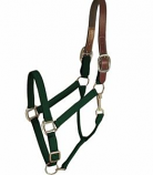 Gatsby Leather Company - Halter Leather Crown Econ - Green - Horse