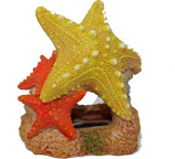 Blue Ribbon Pet Products - Exotic Environments Sea Star Duo - 3.5X3X3.5 Inch